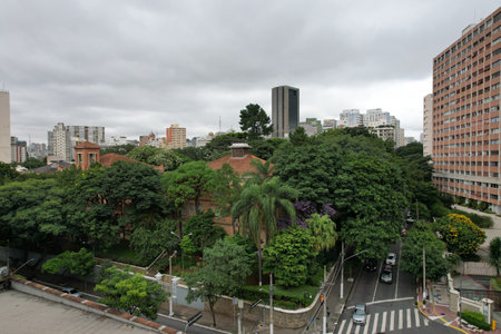 Vibrant urban landscape of Sao Paulo with lush greenery in focusの写真素材