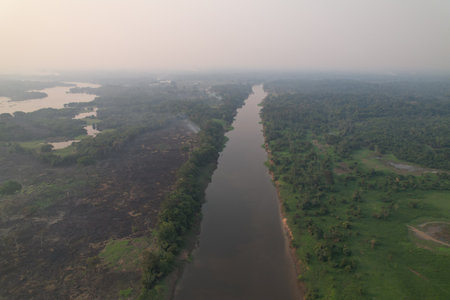Lush green landscape along a winding river in the Amazon rainforestの写真素材