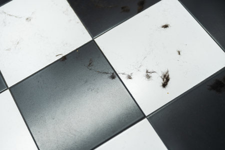 Dust particles and fur scattered on a black and white tiled floorの写真素材