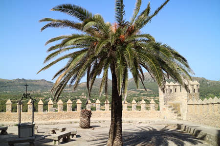Castle Wall, Castle Arta, Mallorca, Spainのeditorial素材