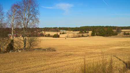 Landscape countryside late spring, afternoonの写真素材