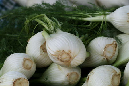 Fennel bulbs displayed for sale at an outdoor marketの写真素材