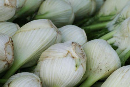 Fennel bulbs displayed for sale at an outdoor marketの写真素材