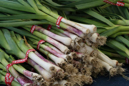 A stack of scallions for sale at an outdoor market.