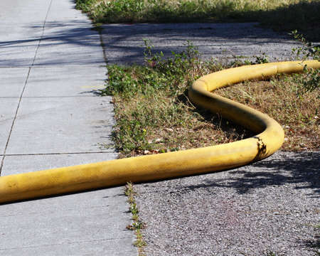 A large yellow fire hose snaking along the groundの写真素材