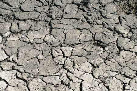 Dried and cracked bay mud, showing interesting textures and designs