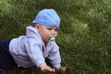 Baby, with a pacifier in his mouth, crawlingの写真素材