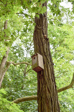 A birdhouse in Cytadela Park, Poznan, Polandの写真素材