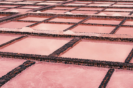 sea ââsalt factory in Fuerteventura, sea salt, salt productionの写真素材