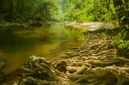 mountain creek eveningの写真素材