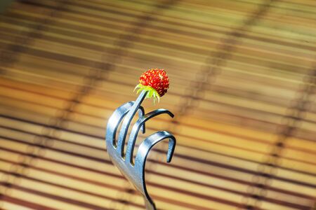 Fork with strained strawberryの写真素材