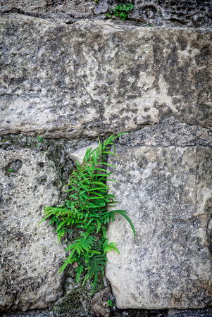 Part of a stone wall . Background or textureの写真素材