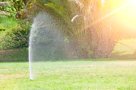 Sprinkler system watering the lawn  . Summer sunny dayの写真素材