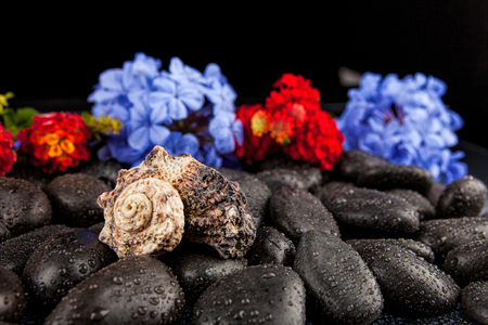 Beautiful spa background of flowers on black  stones with dropsの写真素材