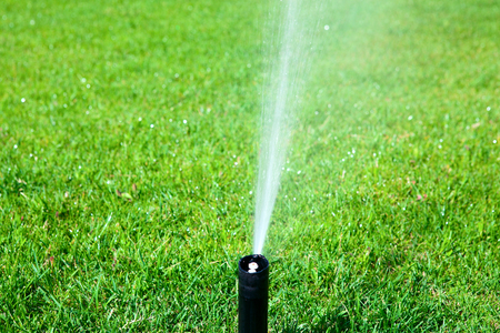 sprinkler spraying water on a green lawnの写真素材