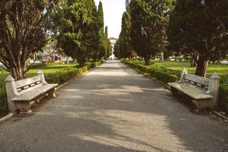 Beautiful bench in the park. Spring sunny dayの写真素材
