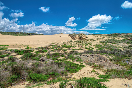 sand dunes along the shore on the outer banks. Sintra , Portugalの写真素材