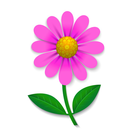 Pink flower isolated on whiteのイラスト素材