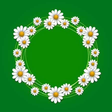 Floral background with daisy, vector illustrationのイラスト素材