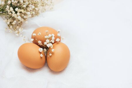 Brown fresh hen's eggs decorated with flowers on white background. Eeco-friendly egg production....
