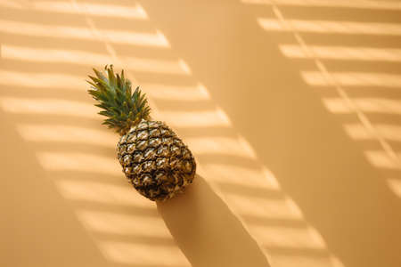 Pineapple with hard trendy shadow on pastel yellow background.の写真素材