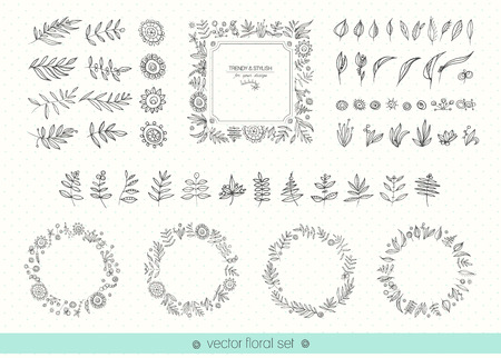 Flowers, leaves, frames, decorative elements for your design.のイラスト素材