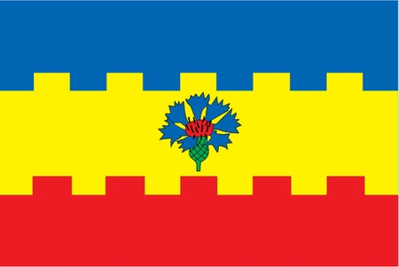 Various vector flags, state symbols, emblems of countries, regions, prefectures, counties, islands, and others from around the world のイラスト素材