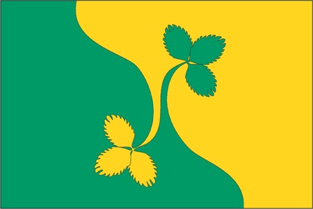 Various vector flags, state symbols, emblems of countries, regions, prefectures, counties, islands, and others from around the world のイラスト素材