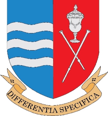 Various vector flags, state symbols, emblems of countries, regions, prefectures, counties, islands, and others from around the world のイラスト素材