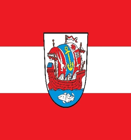 Various vector flags, state symbols, emblems of countries, regions, prefectures, counties, islands, and others from around the world のイラスト素材