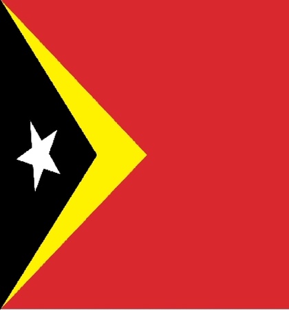 Various flags, state symbols, emblems of countries, regions, prefectures, counties, islands, and others from around the world.のイラスト素材