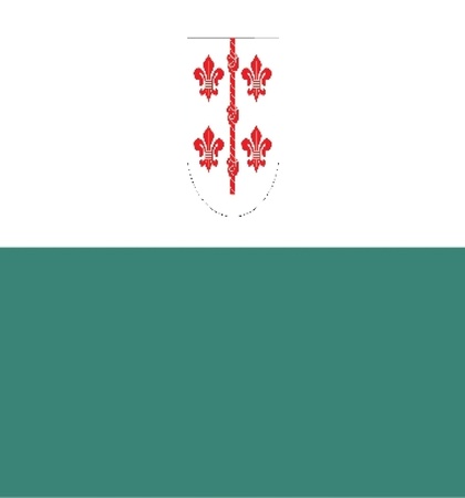 Various flags, state symbols, emblems of countries, regions, prefectures, counties, islands, and others from around the world.のイラスト素材