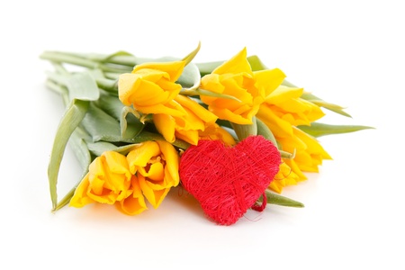 Yellow tulips with a red heart, concept of loveの写真素材