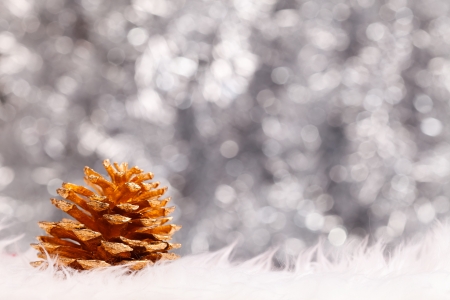 Golden pine cone and bokeh background with fluffy white material in front
の写真素材