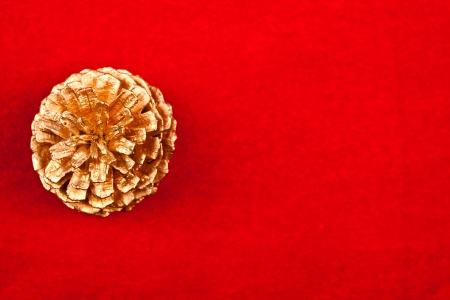 Golden pine cone over red velvet background
の写真素材