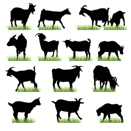 Goats silhouettes setのイラスト素材