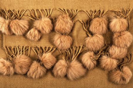 Female warm shawl with set of pomponsの写真素材