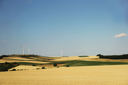 fields with wind generators
