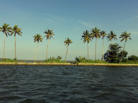 Land of Coconuts Kerala