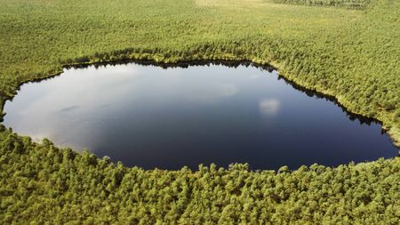 The lake in the middle of a swamp. Ecological aerial viewr.の写真素材