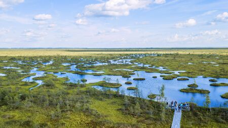 Island with trees in the swamp. Ecological aerial viewr.の写真素材