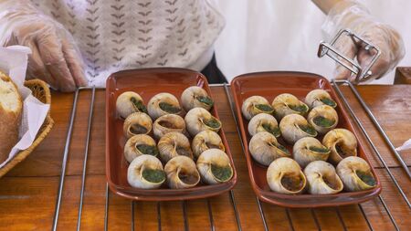 Cooked mollusk snails with orange striped shell. French cuisine.の写真素材