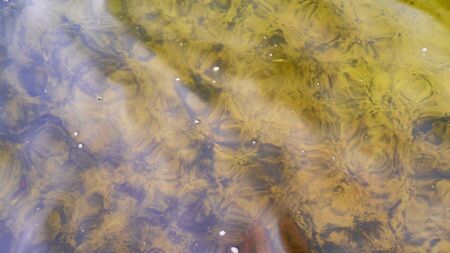 Texture of cold water and orange sand in the lake. Abstract background.