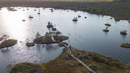 Aerial view island with trees in the swamps lake. Ecological and reserve concepts.の写真素材