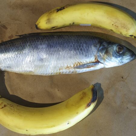 Close-up delicious salted herring and two yellow bananas on the old wooden background. Rustic style.
