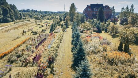 Garden with flowers, trees and green grass. Photo taken from above drone. Countryside conceptの写真素材