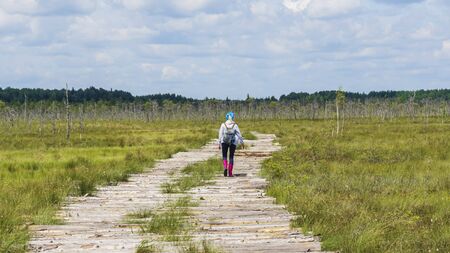 Road in the swamp. Ecological problem. Texture and background for text.
