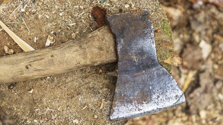 Close-up on a rusty ax above a wood stump. Business and countryside life concept.