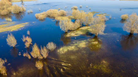 Aerial view of river flood. Beautiful flooded meadow. Flying above beautiful Pripyat river when the river is full of water at spring.の写真素材