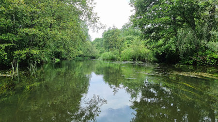 Beautiful natural scenery of river and green forest. Scenic view of a quiet river flowing slowly...